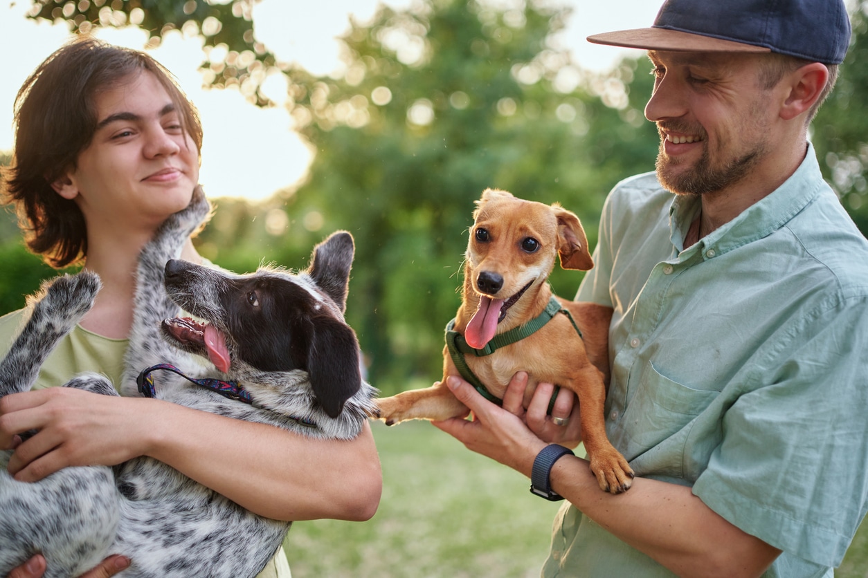A smiling teenager holds a black-and-white dog as a man cradles a small tan puppy outdoors, sharing a warm, joyful moment in the sunshine.